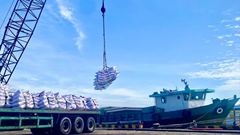 Quốc tế học và Quan hệ quốc tế: Phân biệt để đào tạo, chọn học đúng và hiệu quả