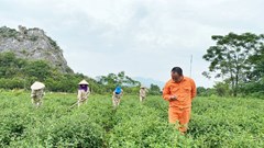 Phát triển sản phẩm OCOP từ tài nguyên bản địa