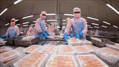 6 tháng, xuất khẩu nông lâm thủy sản ước tăng trên 14%