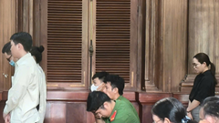 Chủ tịch Vina Land và đồng phạm hầu tòa vì lừa đảo hơn 179 tỉ đồng