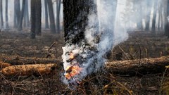 Căng thẳng Israel - Iran: Khoảng 9.000 ha rừng của Iran bị tàn phá