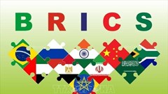 Hội nghị thượng đỉnh BRICS 2025: Động lực kết nối