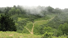 Hà Nội: Siết chặt quản lý rừng và đất lâm nghiệp, ứng dụng công nghệ giám sát cháy rừng