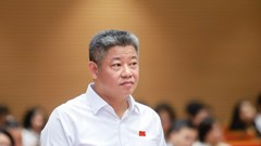 Phó Chủ tịch Hà Nội: Không còn tình trạng ‘rau hai luống, lợn hai chuồng’