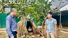 Nuôi con đặc sản mở hướng chăn nuôi xanh ở Phượng Dực