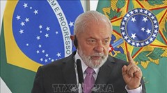 Brazil và Ấn Độ tăng cường quan hệ đối tác chiến lược