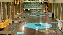 Thủy điện tích năng: Lựa chọn đảm bảo an ninh năng lượng cho Mỹ Latinh