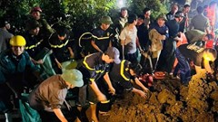 Bộ Nông nghiệp và Môi trường yêu cầu 29 tỉnh, TP đảm bảo an toàn đê điều mùa mưa lũ