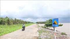 Cà Mau bảo vệ đê biển Tây trong mùa mưa bão