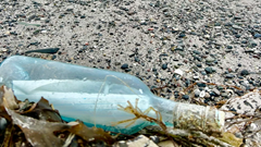 13 năm lênh đênh Đại Tây Dương, bức thư trong chai từ Canada bất ngờ cập bờ Ireland