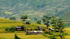 Dự báo thời tiết ngày 13.7: Bắc Bộ cảnh báo dông lốc, Trung Bộ nắng nóng