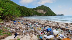 Ngành du lịch hướng tới không rác thải nhựa