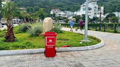 Phường Vũng Tàu nhanh chóng vào cuộc xử lý rác tại Công viên Ao cá