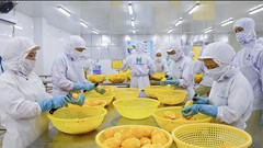 Xuất khẩu rau, quả năm 2025: Liệu có “cán đích” 8 tỉ USD?