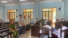 Chủ tịch công ty trồng rừng hầu tòa vì hủy hoại hơn 30.000m² rừng tự nhiên