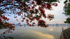 Dự báo thời tiết ngày 16.7: Hà Nội ngày nắng, chiều tối chuyển mưa dông