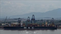 Thuế quan của Mỹ: Washington khởi động điều tra thương mại với Brazil