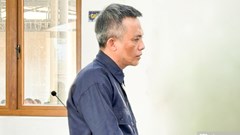 Tù chung thân cho giám đốc lừa đảo bất động sản chiếm đoạt hơn 117 tỷ đồng