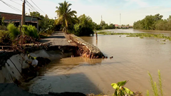 ĐBSCL: Khẩn trương ứng phó sạt lở, bảo vệ an toàn người dân