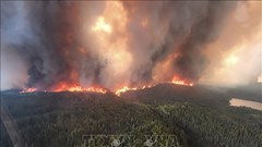 Cháy rừng ở Canada: Diện tích bị thiêu rụi gần bằng một quốc gia châu Âu