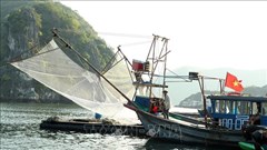 Hải Phòng khẩn trương ứng phó bão số 3