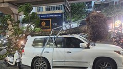 Hà Nội chỉ đạo toàn diện ứng phó bão số 3 WIPHA