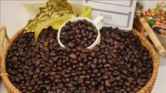 Việt Nam lần đầu tham dự hội chợ cà phê tại Chile