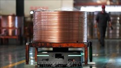 Nhà sản xuất đồng lớn nhất thế giới lo ngại thuế quan của Mỹ gây bất ổn thị trường