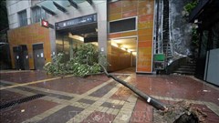 Trung Quốc triển khai nhiều biện pháp ứng phó bão Wipha