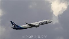 Mỹ: Hãng hàng không Alaska Airlines tạm dừng khai thác toàn bộ các chuyến bay