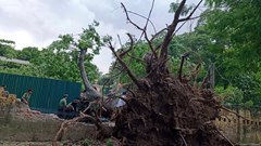 Ban An toàn giao thông thành phố Hà Nội kích hoạt ứng phó khẩn cấp bão số 3