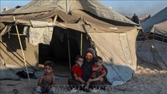 Palestine yêu cầu Liên đoàn Arab họp khẩn về khủng hoảng Gaza