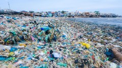 Hà Nội hành động quyết liệt vì một tương lai không rác thải nhựa