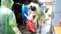 Tuyên Quang: Xem xét trách nhiệm lãnh đạo xã, phường nếu để xảy ra vứt xác lợn, sản phẩm từ lợn ra môi trường