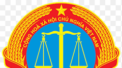 Tòa án nào giải quyết vụ án sở hữu trí tuệ?