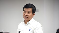 TP HCM thông tin về dịch sốt xuất huyết, tay chân miệng, Covid-19