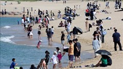 Hàn Quốc: Nâng mức cảnh báo nắng nóng trên toàn quốc