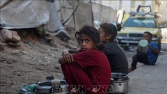 EU sẽ xem xét mọi biện pháp cải thiện viện trợ nhân đạo cho Gaza