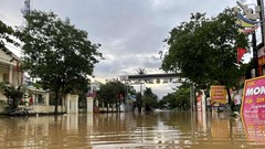 Sông Cả báo động lũ, vùng núi Nghệ An cảnh giác lũ quét, sạt lở đất