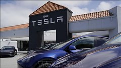 Tesla kỳ vọng vào robotaxi giữa lúc doanh số xe EV giảm mạnh