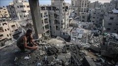 Xung đột Hamas - Israel: Các nước tiếp tục ủng hộ giải pháp hai nhà nước