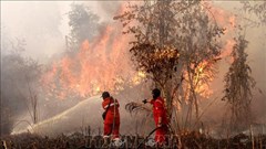 Indonesia kích hoạt mưa nhân tạo nhằm dập tắt cháy rừng