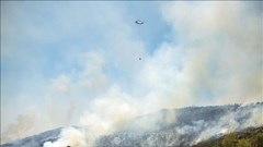 Khu vực Đông Nam Thổ Nhĩ Kỳ ghi nhận mức nhiệt 50,5 độ C