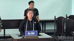 Tuyên phạt bảo mẫu bạo hành trẻ em 12 tháng tù treo