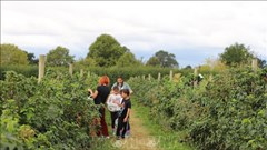 Khám phá cuộc sống vùng nông thôn nước Anh ở Copas Farm