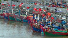  Kiên quyết đảm bảo an toàn cho nhân dân