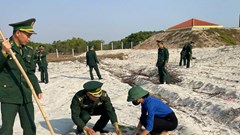 Lan tỏa giá trị bền vững từ “Tết trồng cây đời đời nhớ ơn Bác Hồ”