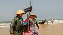 Niềm vui của ngư dân Quảng Trị trúng đậm sứa, ruốc