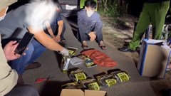 Triệt phá đường dây vận chuyển ma túy lớn từ biên giới về đồng bằng