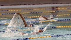 Từ phong trào đến chất lượng chuyên môn